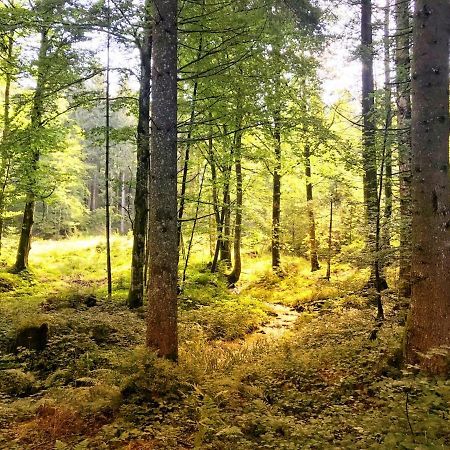 Ferienwohnung - Missen-Wilhams Allgaeu Esterno foto