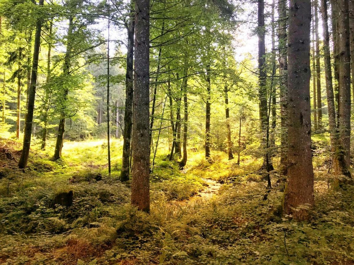 Ferienwohnung - Missen-Wilhams Allgaeu Esterno foto